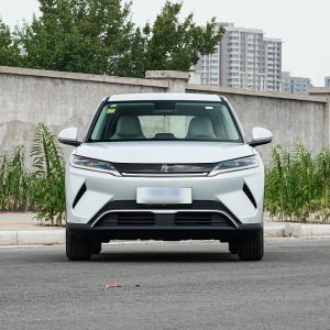 2025 BYD Yuan UP 301km Pilot Edition