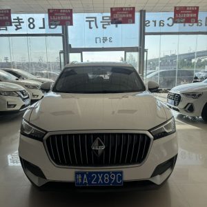 2020 Borgward BX5