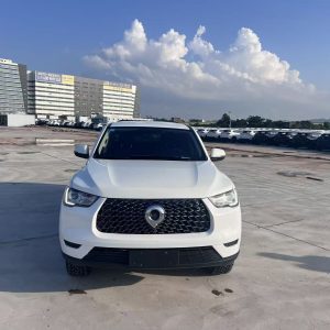 Great Wall Pao 2020 Commercial Version Automatic Diesel 4WD Elite